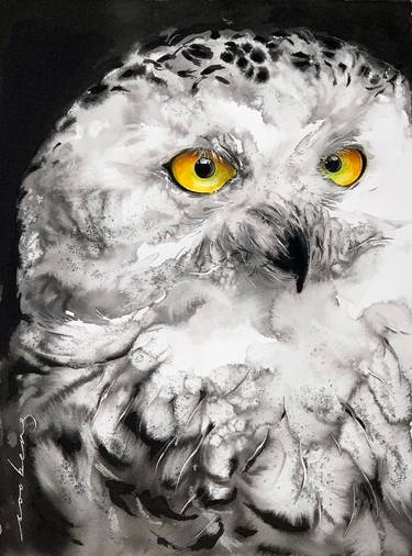 Original Illustration Nature Drawings by Soo Beng Lim