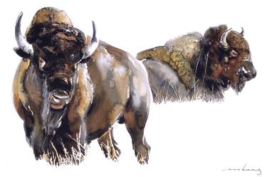 Original Illustration Animal Drawings by Soo Beng Lim