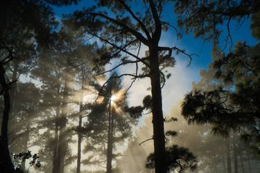 Original Documentary Nature Photography by George Haddad