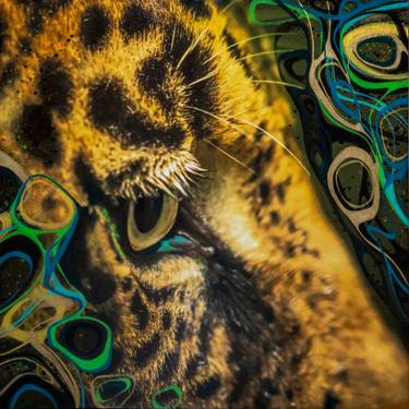 Original Abstract Expressionism Animal Mixed Media by Monica Lizano