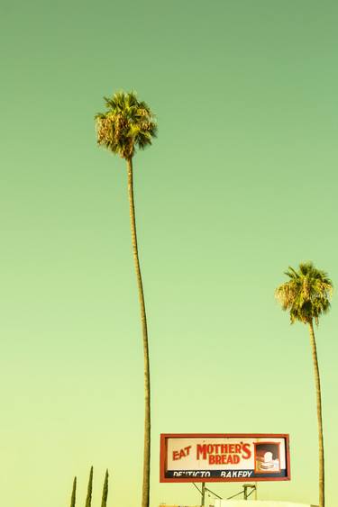 Print of Minimalism Tree Photography by Rita Minichiello