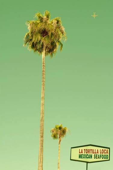 Print of Figurative Tree Photography by Rita Minichiello