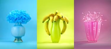 Original Conceptual Still Life Photography by Flynn Newton