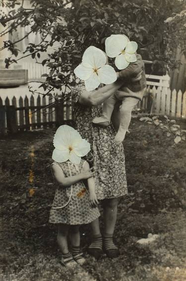 Original Conceptual Floral Photography by Doina Domenica Cojocaru-Thanasiadis