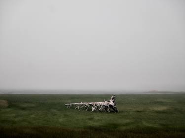 Original Documentary Landscape Photography by Dyanne Wilson