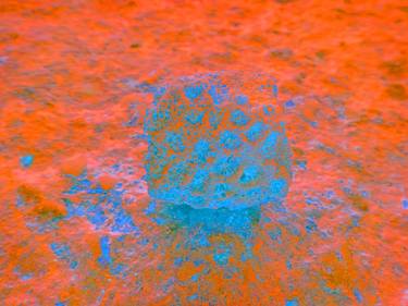 Original Conceptual Abstract Photography by Tjaša Iris