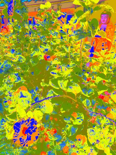 Original Fine Art Garden Mixed Media by Tjaša Iris
