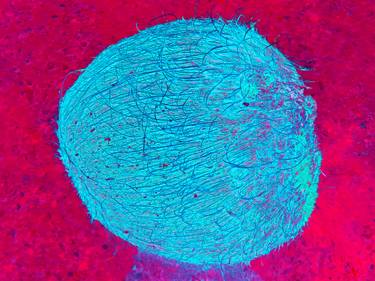 Original Expressionism Botanic Photography by Tjaša Iris