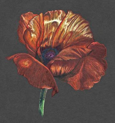 Original Expressionism Floral Drawing by The Ice Dragon