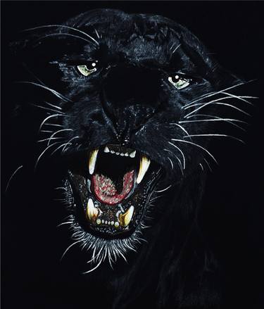 Original Conceptual Cats Drawings by The Ice Dragon
