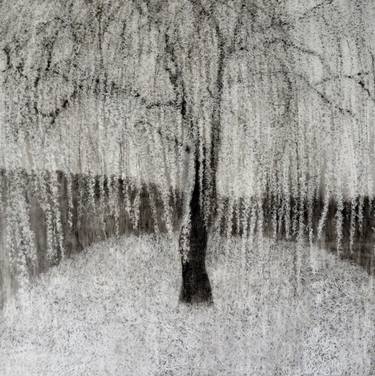 Original Fine Art Tree Drawings by Ilona Suschitzky