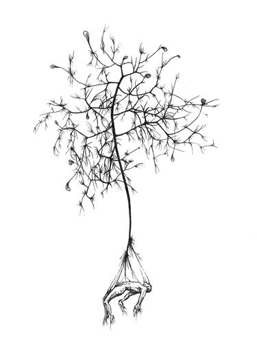 Original Figurative Botanic Drawing by Dorothy Zhu