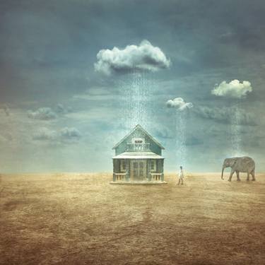 Original Conceptual Animal Photography by Nikolina Petolas