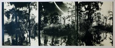 Original Black & White Landscape Printmaking by Marc Siegner