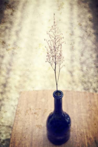 Original Fine Art Still Life Photography by Paul J Bucknall