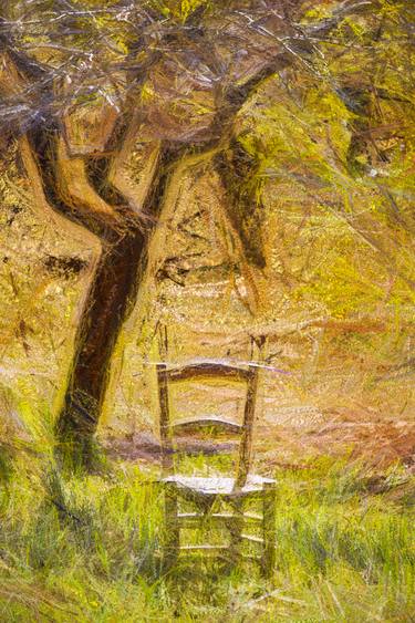 Original Abstract Seasons Photography by Paul J Bucknall