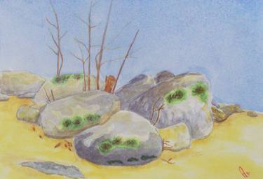 Original Fine Art Nature Painting by Paul Mcdermott