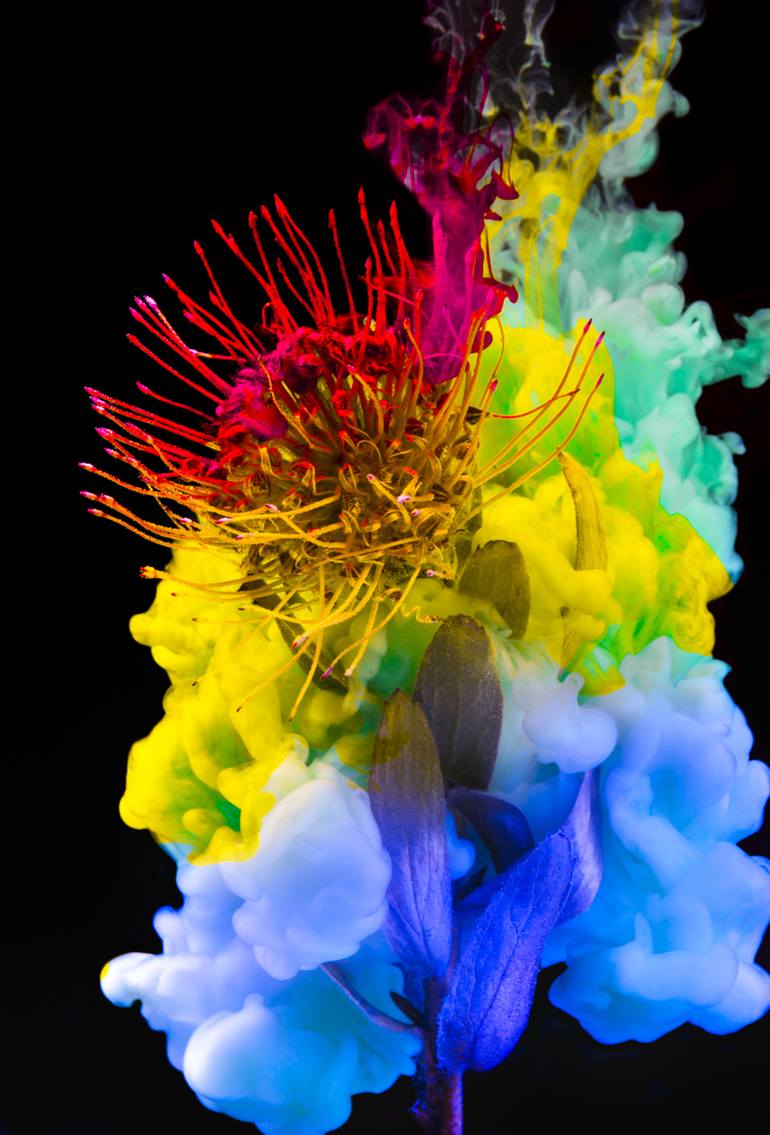 Original Abstract Botanic Photography by Javiera Estrada