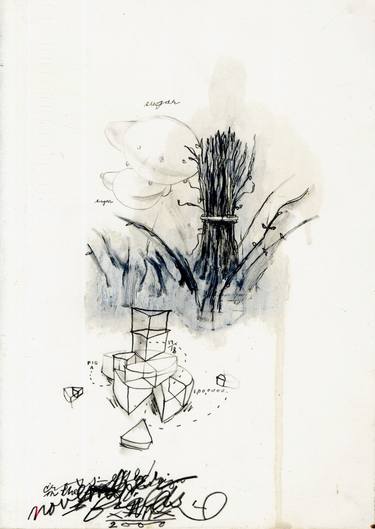 Original Abstract Botanic Drawings by Shelton Walsmith