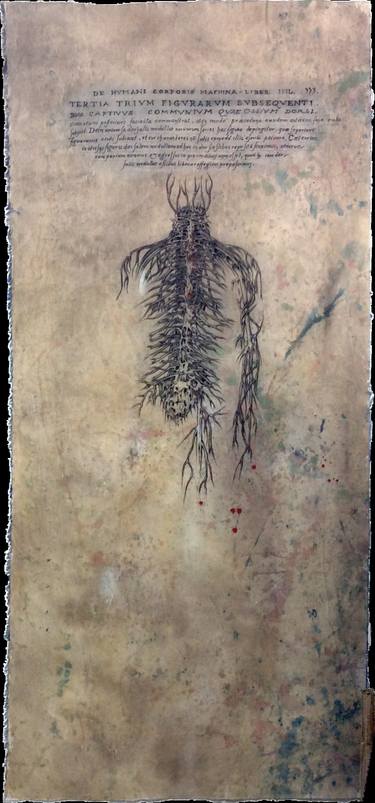 Original Conceptual Body Drawings by Newton Scheufler
