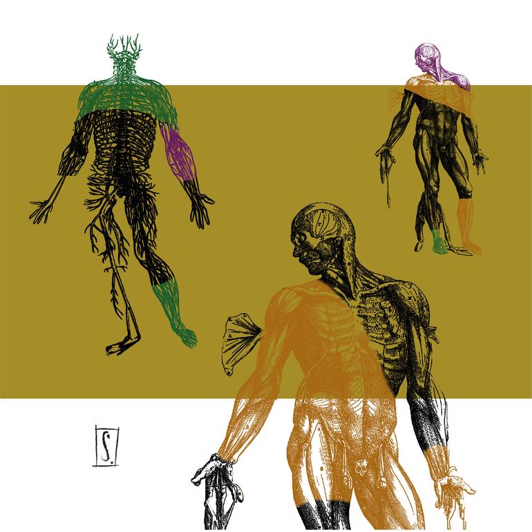 popo Kawasaki Ninja ZX-4RR Tank Grips | Clear Tank Pads | Eazi