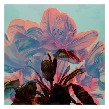 Original Contemporary Botanic Printmaking by Nicolas Le Beuan Benic