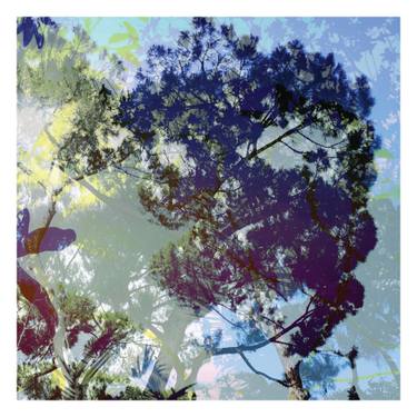 Original Abstract Tree Photography by Nicolas Le Beuan Benic