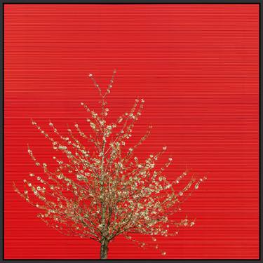 Original Abstract Tree Photography by Paul Brouns