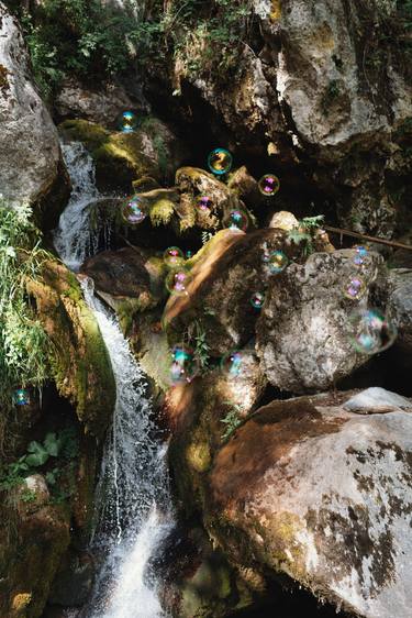 Original Conceptual Nature Photography by Marlies Plank