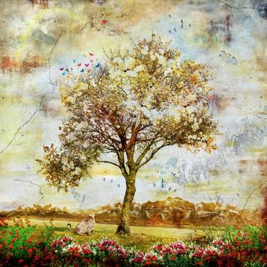 Original Abstract Landscape Photography by Andrej Barov