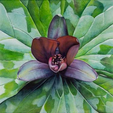 Original Modernism Botanic Painting by Sandy Haight