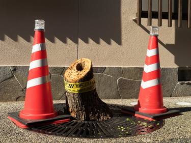Original Conceptual Still Life Photography by Philipp Zechner
