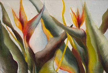 Original Realism Floral Painting by Gillian Frazier