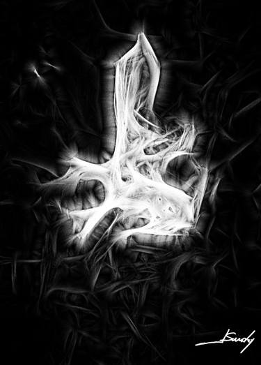Original Abstract Nature Digital by Jose Sunday