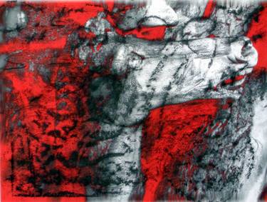 Original Expressionism Animal Printmaking by Chaim Bezalel