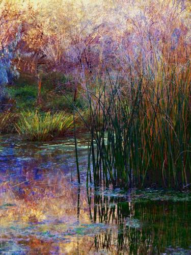 Original Fine Art Landscape Mixed Media by Luann Ostergaard