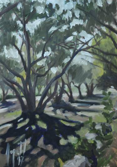 Original Figurative Tree Paintings by Harold Aupetit