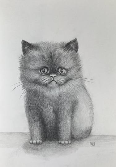 Original Contemporary Cats Drawings by Eva Fialka