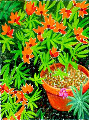 Original Modern Garden Paintings by Grahame Ashcroft