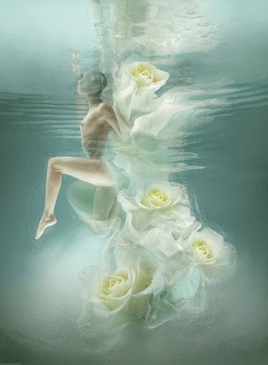 Original Surrealism Floral Mixed Media by Carlos  Paulo  Costa Ferreira