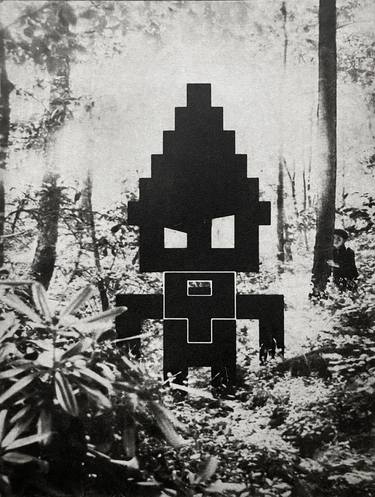 Original Figurative Garden Printmaking by Jaco Putker