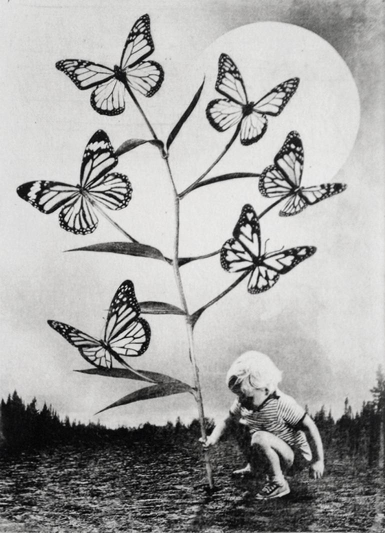 Original Surrealism Tree Printmaking by Jaco Putker