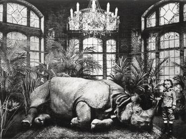 Original Fine Art Animal Printmaking by Jaco Putker