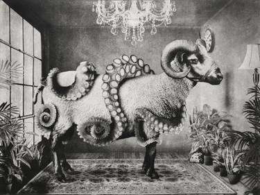 Original Figurative Animal Printmaking by Jaco Putker