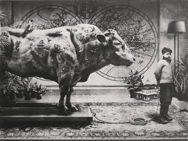 Original Fine Art Cows Printmaking by Jaco Putker