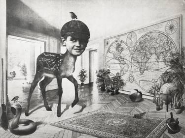 Original Surrealism Animal Printmaking by Jaco Putker