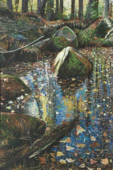 Original Realism Tree Paintings by Amy Roberts