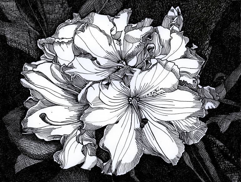Print of Conceptual Floral Drawings by Nives Palmic