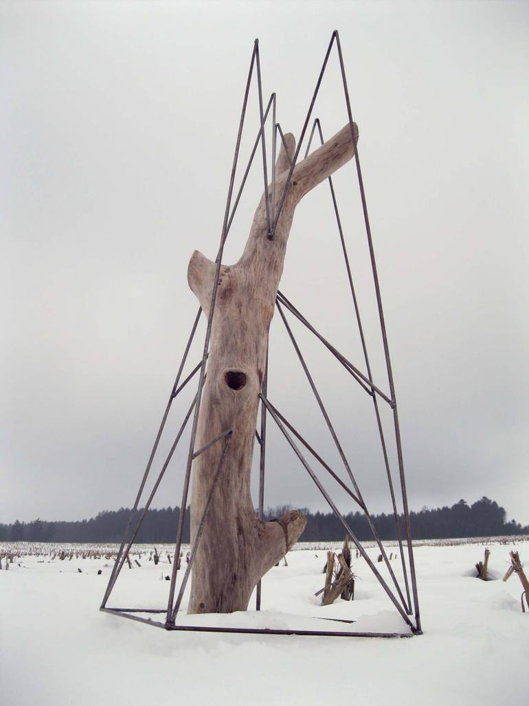 Original Conceptual Nature Sculpture by Orianne Zanone