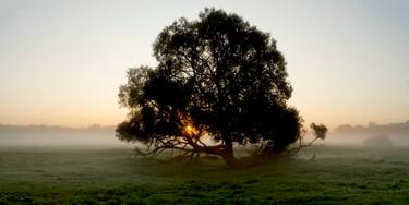 Original Fine Art Language Photography by Michael Lesiv